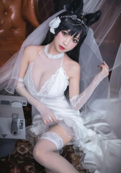 一只小黑犬MC_1080在线视频观看