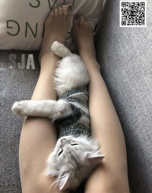 日韩在线精品观看_1080全集在线观看