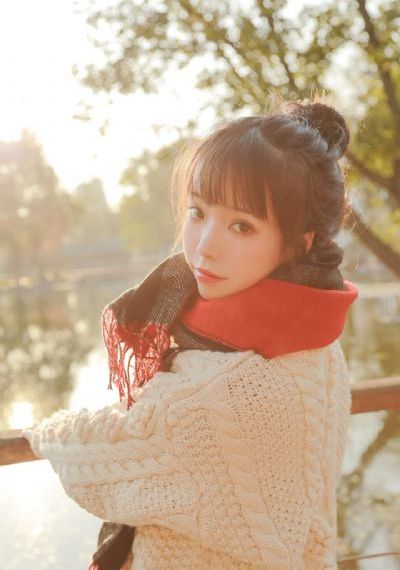 黑狐之风影电视剧手机免费版_剧情片免费观看最新
